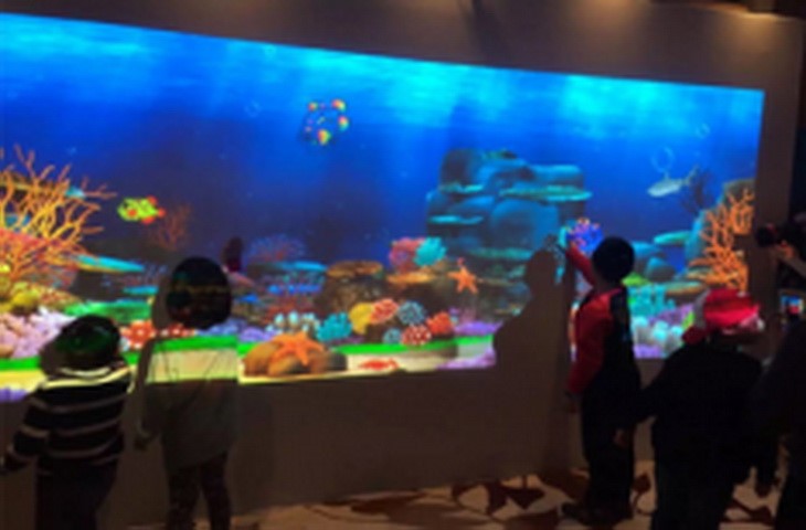 畫(huà)畫(huà)水族館